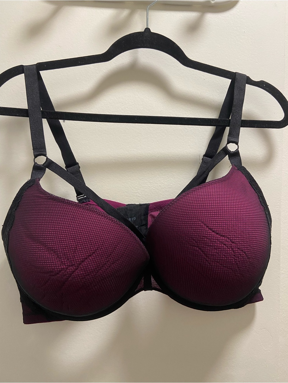 torrid Plum Bra with Black Trim
